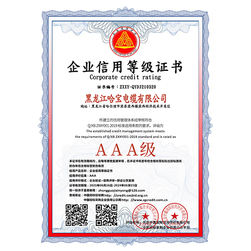 企業信用(yòng)等級證書（雙平台）