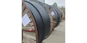 黑龍江電(diàn)纜廠家讨論PVC電(diàn)線(xiàn)電(diàn)纜的環保要求