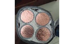 專業黑龍江電(diàn)纜廠家