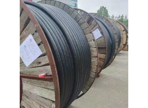 黑龍江電(diàn)線(xiàn)電(diàn)纜廠