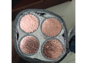 專業黑龍江電(diàn)纜廠家