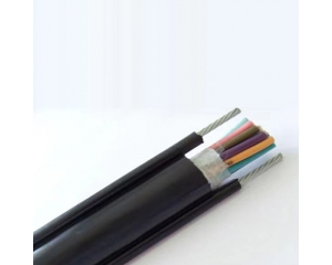 特種電(diàn)線(xiàn)電(diàn)纜
