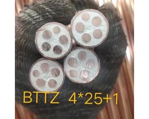 BTTZ剛性防火電(diàn)纜