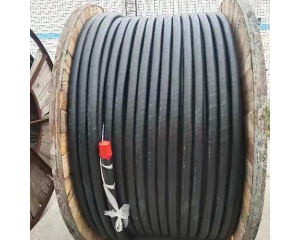 wDZC低煙無鹵電(diàn)纜