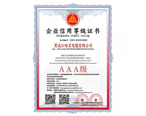 企業信用(yòng)等級證書（雙平台）