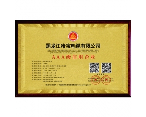 AAA級信用(yòng)企業