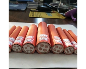 防火電(diàn)纜