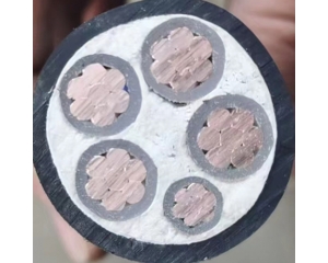 防火電(diàn)纜